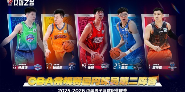 CBA国内球员二阵：张镇麟、林庭谦、徐昕、高诗岩、周琦
